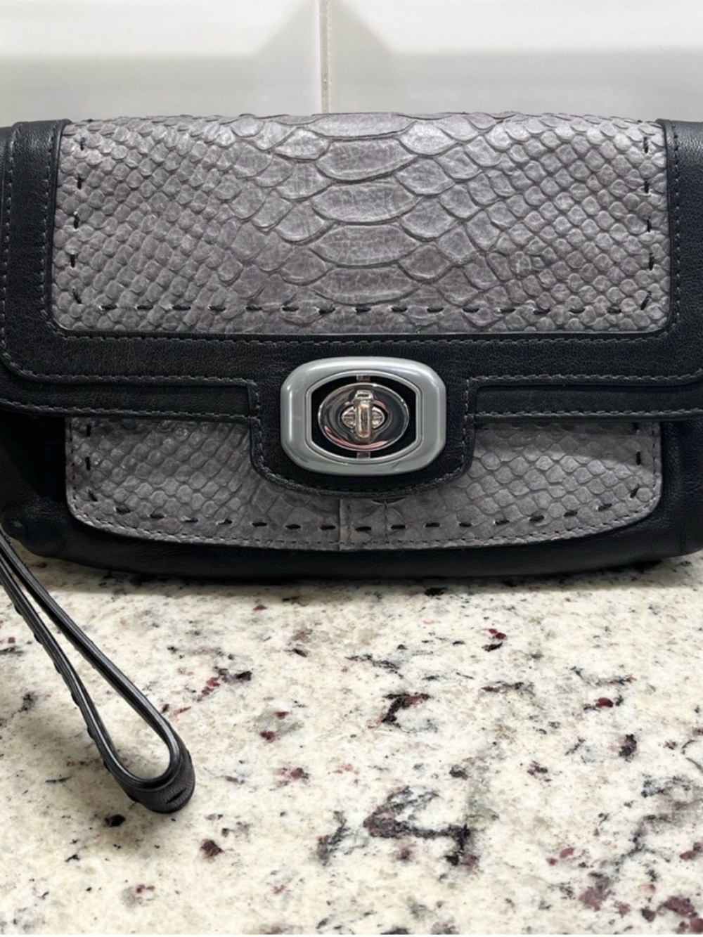 Coach Pinnacle Embossed Python Exotic Color Block Clutch/Wristlet EUC